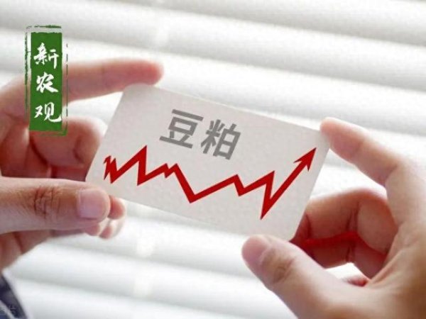 秦安配资 一觉醒来, 豆粕重回4000元/吨以上! 发生了什么