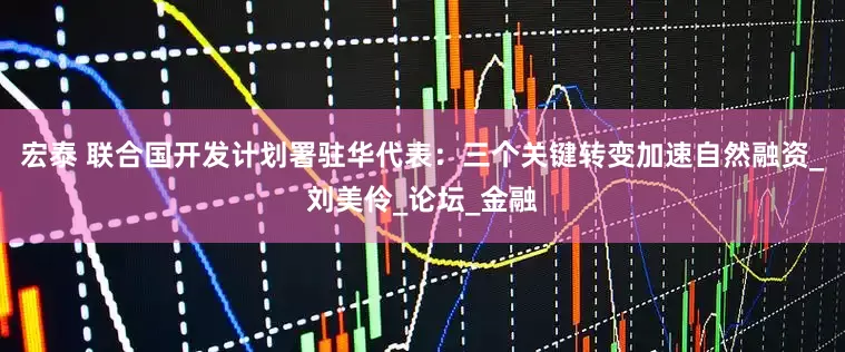 宏泰 联合国开发计划署驻华代表：三个关键转变加速自然融资_刘美伶_论坛_金融