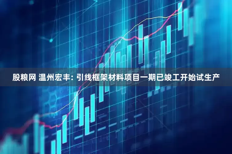 股粮网 温州宏丰: 引线框架材料项目一期已竣工开始试生产
